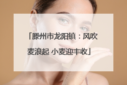 滕州市龙阳镇：风吹麦浪起 小麦迎丰收