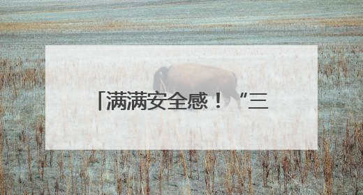 满满安全感！“三个一”工作法破解大型活动安保难题