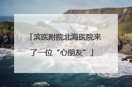 滨医附院北海医院来了一位“心朋友”