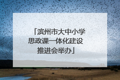 滨州市大中小学思政课一体化建设推进会举办