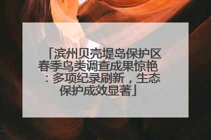滨州贝壳堤岛保护区春季鸟类调查成果惊艳：多项纪录刷新，生态保护成效显著