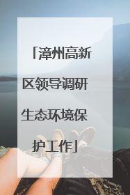 漳州高新区领导调研生态环境保护工作