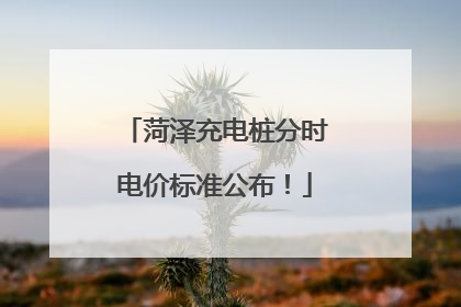 菏泽充电桩分时电价标准公布！