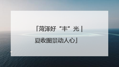 菏泽好“丰”光｜夏收图景动人心