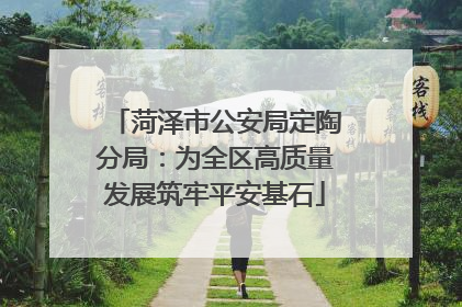 菏泽市公安局定陶分局：为全区高质量发展筑牢平安基石