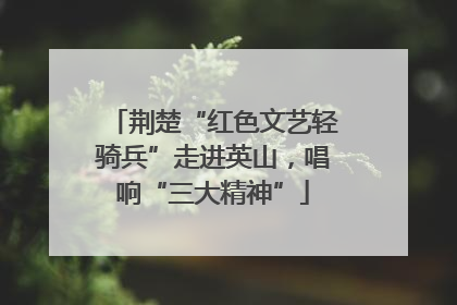 荆楚“红色文艺轻骑兵”走进英山，唱响“三大精神”