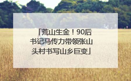 荒山生金！90后书记马传力带领张山头村书写山乡巨变