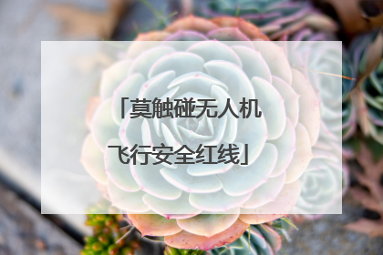 莫触碰无人机飞行安全红线