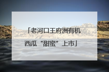 老河口王府洲有机西瓜“甜蜜”上市