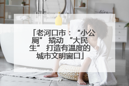 老河口市：“小公厕” 撬动 “大民生” 打造有温度的城市文明窗口