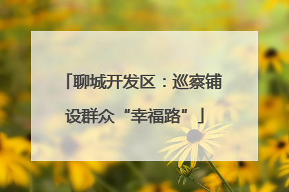 聊城开发区：巡察铺设群众“幸福路”