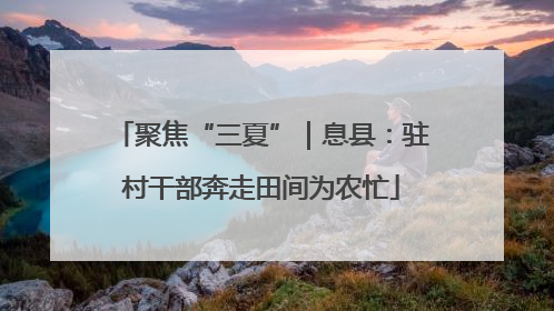 聚焦“三夏”｜息县：驻村干部奔走田间为农忙