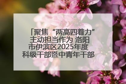 聚焦“两高四着力” 主动担当作为 洛阳市伊滨区2025年度科级干部暨中青年干部培训班开班