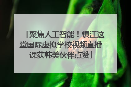聚焦人工智能！镇江这堂国际虚拟学校视频直播课获韩美伙伴点赞