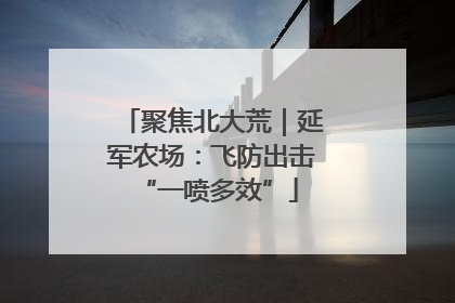 聚焦北大荒｜延军农场：飞防出击 “一喷多效”