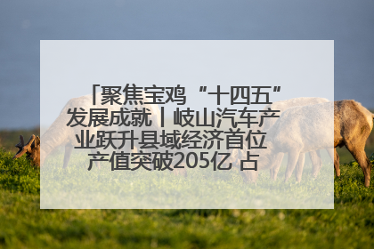 聚焦宝鸡“十四五”发展成就丨岐山汽车产业跃升县域经济首位 产值突破205亿 占规上工业75%