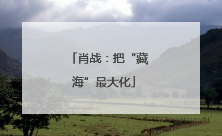 肖战：把“藏海”最大化