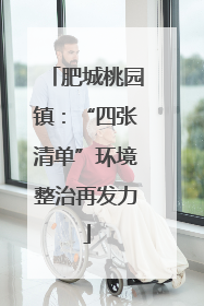 肥城桃园镇：“四张清单”环境整治再发力
