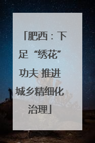肥西：下足“绣花”功夫 推进城乡精细化治理