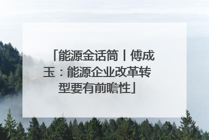能源金话筒丨傅成玉：能源企业改革转型要有前瞻性