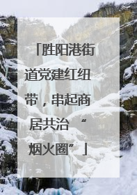 胜阳港街道党建红纽带，串起商居共治 “烟火圈”