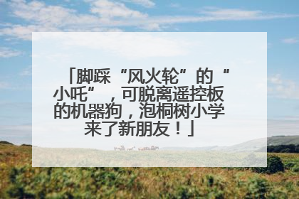 脚踩“风火轮”的“小吒”，可脱离遥控板的机器狗，泡桐树小学来了新朋友！