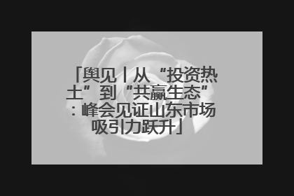 舆见丨从“投资热土”到“共赢生态”：峰会见证山东市场吸引力跃升