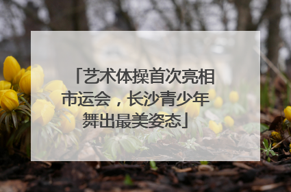 艺术体操首次亮相市运会，长沙青少年舞出最美姿态