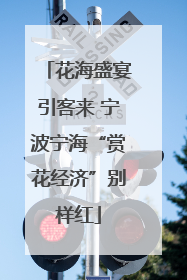 花海盛宴引客来 宁波宁海“赏花经济”别样红