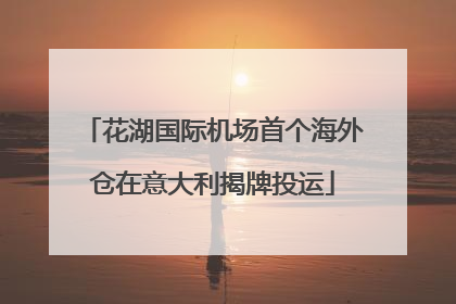 花湖国际机场首个海外仓在意大利揭牌投运