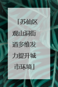 苏仙区观山洞街道多维发力提升城市环境