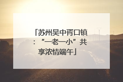 苏州吴中胥口镇：“一老一小”共享浓情端午