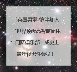 英国男童2岁半加入“世界顶级高智商团体”门萨俱乐部！成史上最年轻男性会员