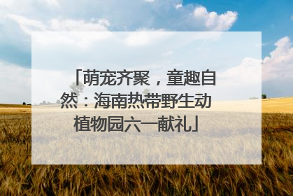 萌宠齐聚，童趣自然：海南热带野生动植物园六一献礼