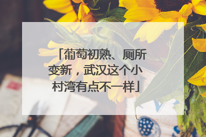 葡萄初熟、厕所变新，武汉这个小村湾有点不一样