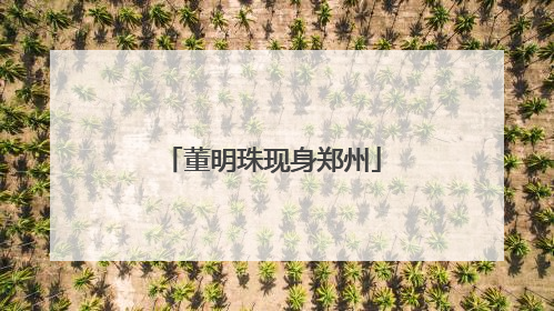 董明珠现身郑州