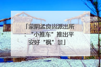 蒙阴孟良崮派出所：“小推车”推出平安好“枫”景