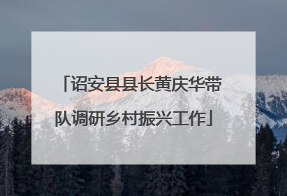 诏安县县长黄庆华带队调研乡村振兴工作