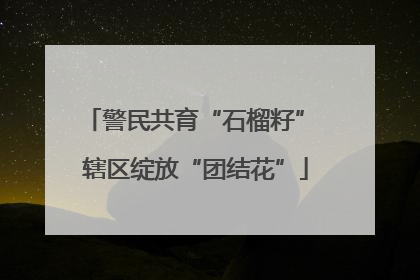 警民共育“石榴籽” 辖区绽放“团结花”