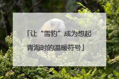 让“雪豹”成为想起青海时的温暖符号
