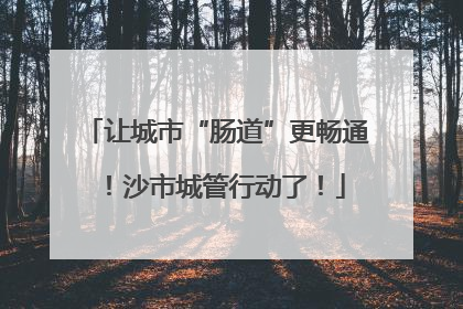 让城市“肠道”更畅通！沙市城管行动了！