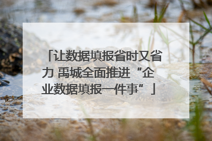 让数据填报省时又省力 禹城全面推进“企业数据填报一件事”