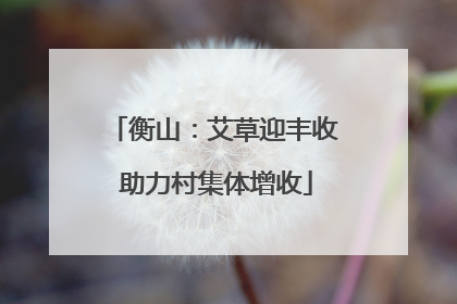 衡山：艾草迎丰收 助力村集体增收