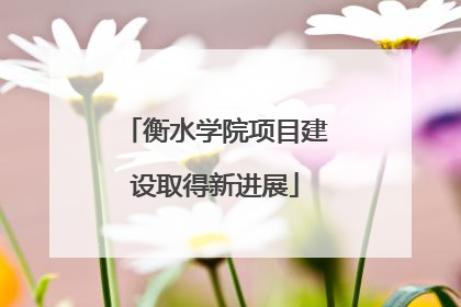 衡水学院项目建设取得新进展