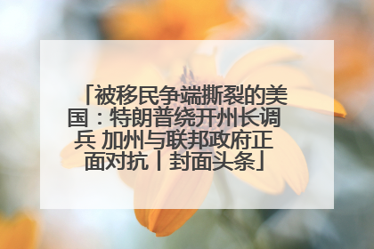 被移民争端撕裂的美国：特朗普绕开州长调兵 加州与联邦政府正面对抗丨封面头条