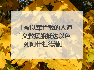 被以军拦截的人道主义救援船抵达以色列阿什杜德港