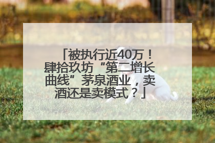 被执行近40万！肆拾玖坊“第二增长曲线”茅泉酒业，卖酒还是卖模式？