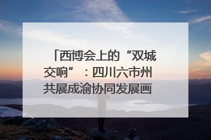 西博会上的“双城交响”：四川六市州共展成渝协同发展画卷｜西博视界