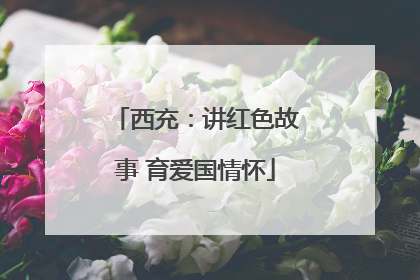 西充：讲红色故事 育爱国情怀