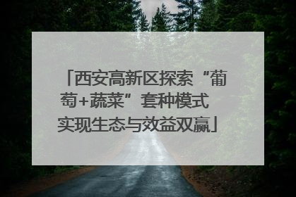 西安高新区探索“葡萄+蔬菜”套种模式 实现生态与效益双赢